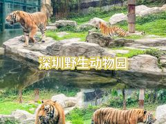 -深圳野生动物园