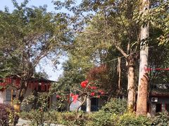 -蜀宴新村·柴火鸡(柏水店)