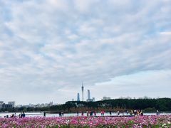 -海珠湖公园