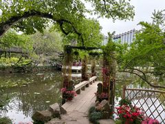 -上海醉白池公园