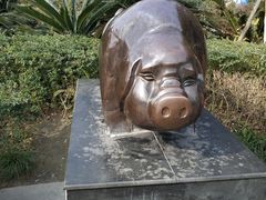 -成飞公园