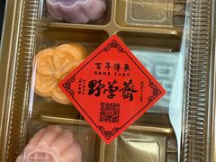 -野荸荠