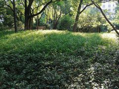 -徐家汇源景区-衡山公园