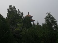 -府君山公园