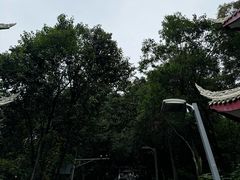 -老君山