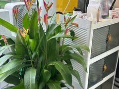 -本来不该有·鲜果咖啡(大梅沙店)