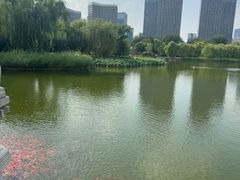 -西海子公园