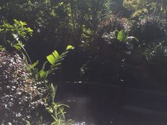 -腾冲洞山温泉村