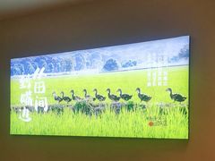 -杨厨的田园饭店(长城路店)