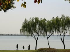 -漕湖湿地公园