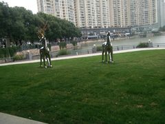 -西北湖绿化广场