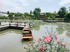 -鹅湖玫瑰文化园