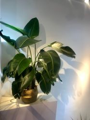 -UPward造型机构·烫染·接发