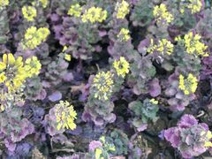 -白塘生态植物园