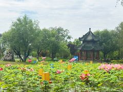 -中国翰园碑林