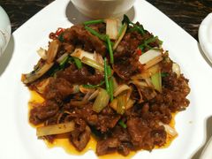 -龙福成肥牛火锅(文昌店)