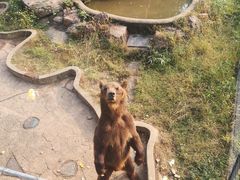 -无锡动物园·太湖欢乐园