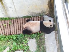 -黔灵山公园
