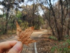 -长春市南湖公园