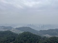 -大金鹰园