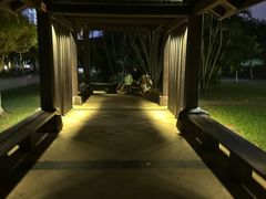 -万绿园