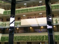 -首都医科大学附属北京同仁医院(西区)