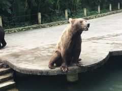 -贵州森林野生动物园
