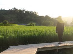 -楠溪江风景名胜区