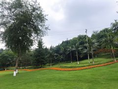 -龙头寺公园
