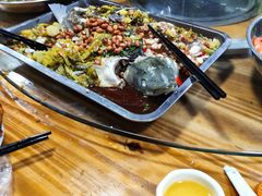 -石岐乳鸽村(桥观坊南四巷店)