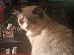 -南京天堂隔壁酒吧