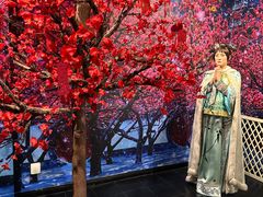 -武汉杜莎夫人蜡像馆