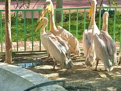 -水上乐园·欢乐世界