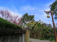 -重庆彩云湖湿地公园