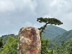 -姑婆山旅游区