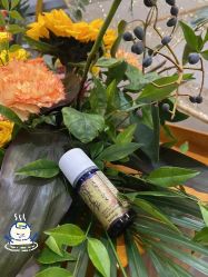 点击看大图 -芳香乐府SPA·五行芳疗