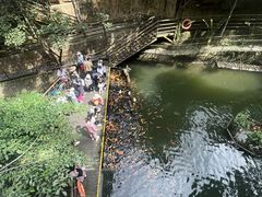 -海南槟榔谷黎苗文化旅游区