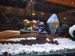 -红辣椒·川菜·火锅(张杨路店)