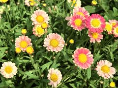 -苏州上方山国家森林公园