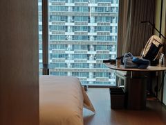 -深圳国际会展中心希尔顿酒店(前海华发冰雪世界店)