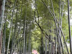-故乡缘·香格里拉山庄(冷竹路店)