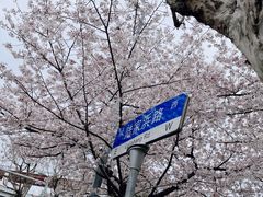 -南浦大桥长途旅游客运站