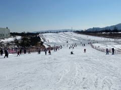 -华彬猛犸滑雪场