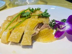 -新高记·粤菜·湛江鸡(南头古城店)