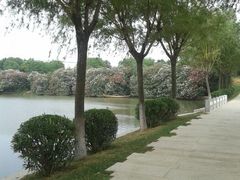 android_upload_pic-汤湖公园