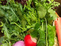 -鸽子窝(宋庄店)