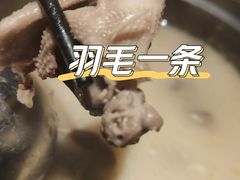 药膳乳鸽煲-羽鸽集·乳鸽专门店·地道顺德菜(岭南站店)