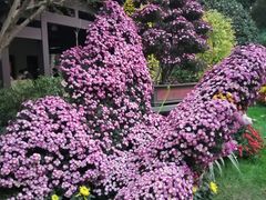 -杭州植物园