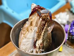 -亚马逊蒸汽活海鲜自助(LCM置汇旭辉广场店)