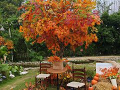 -HERRE·FARM 赫尔露营农场·团建聚会包场